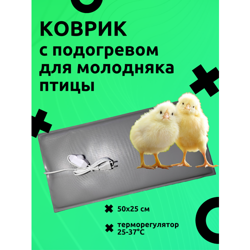 Электроподогреватель коврик ТеплоМакс для молодняка домашней птицы 50х25 см с терморегулятором