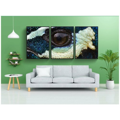 фото Набор модулных постеров для интерьера "павлин, глаз, закрывать" 60x90 см. в тубусе, без рамки lotsprints