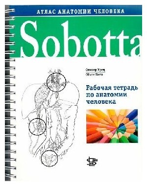 Крец О. "Sobotta. Рабочая тетрадь по анатомии человека/ К атласу Соботта"