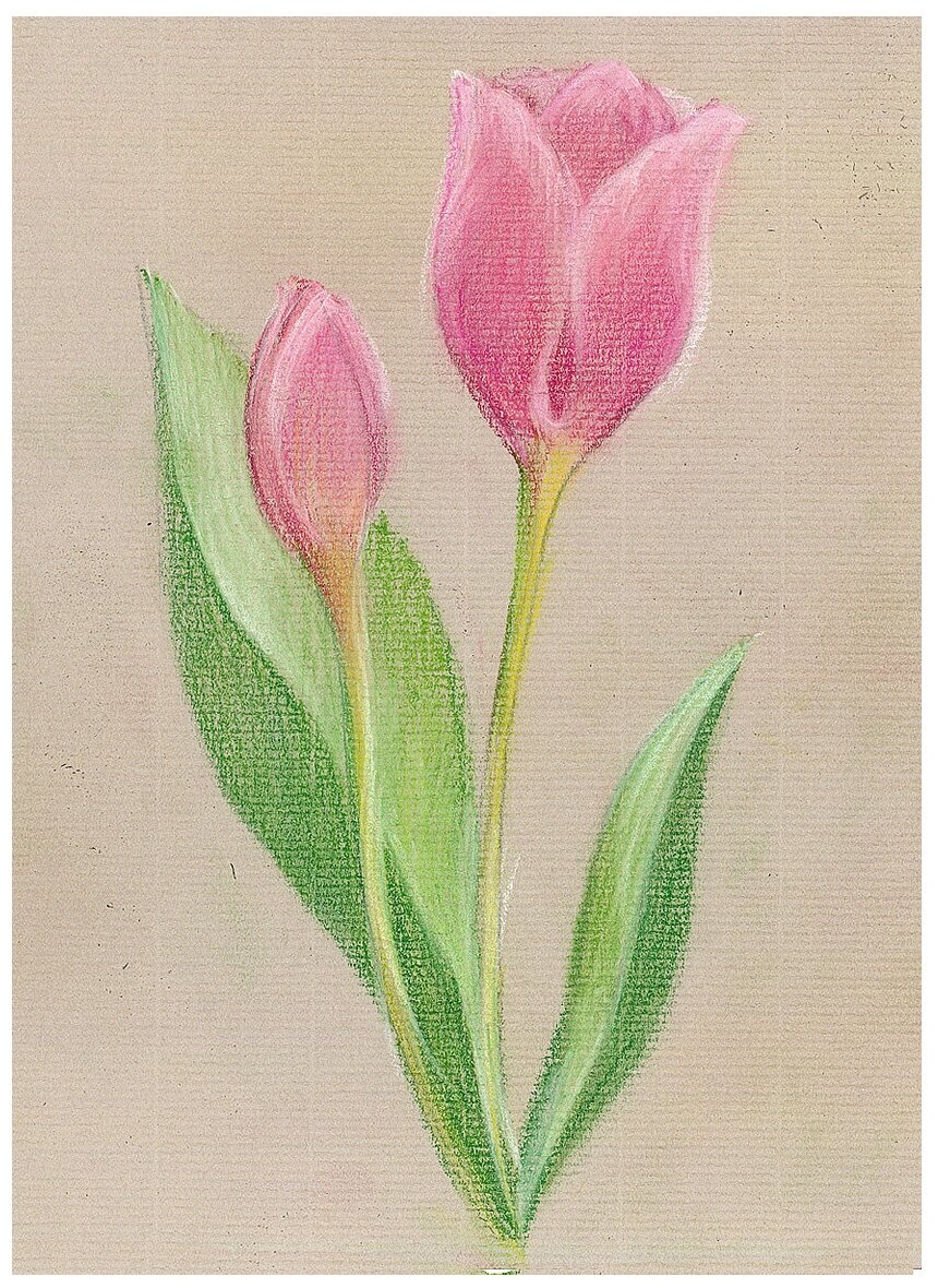 Пастель художественная, 12 цветов "Trio" масляная (181109) - фото №6