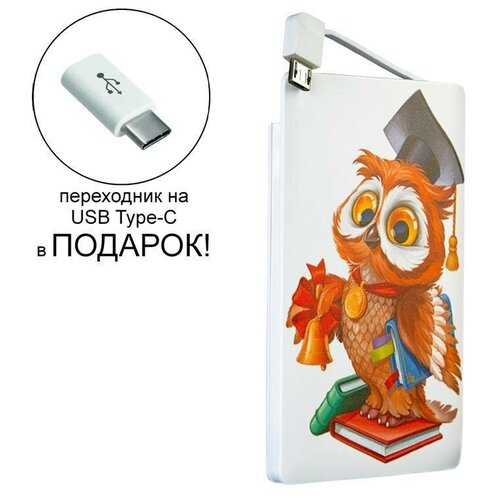 Внешний аккумулятор с изображением учителю 4000 mAh 125200₽