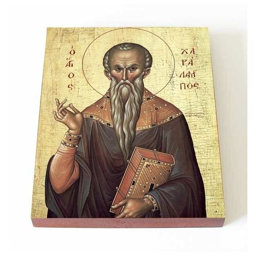 Священномученик Харалампий Магнезийский, икона на доске 13*16,5 см