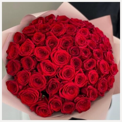 Изображение товара Букет живых цветов из 51 красной розы 50см в пленке / Радуга Букет