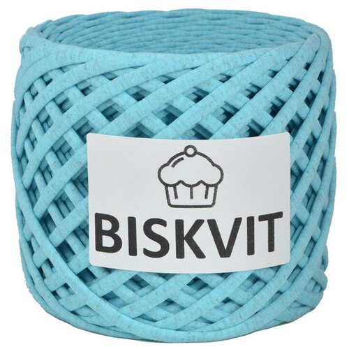 Трикотажная пряжа Biskvit Мальдивы Меланж