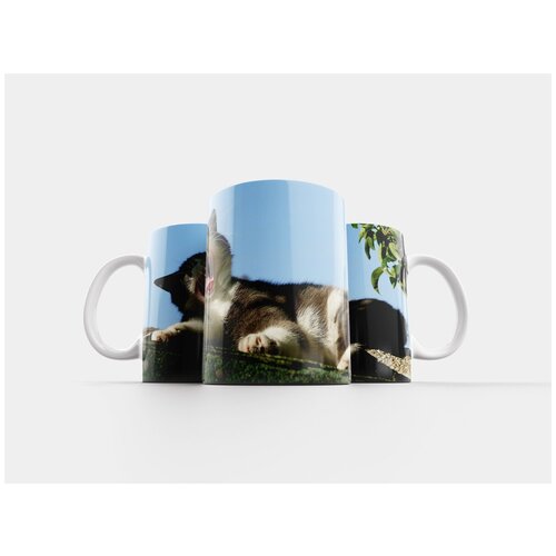 фото Кружка "кот, похмелье, меховой нос" 320 мл lotsprints