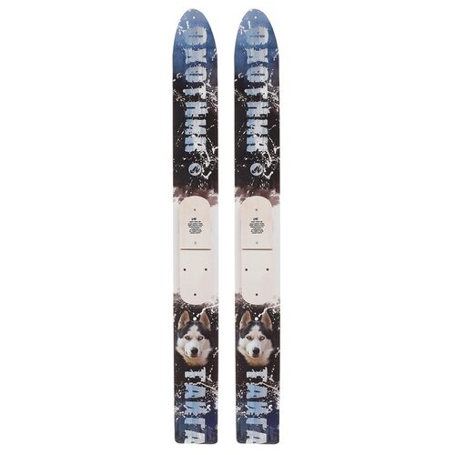 фото Лыжи деревянные «тайга», 145 см, цвета микс нет бренда