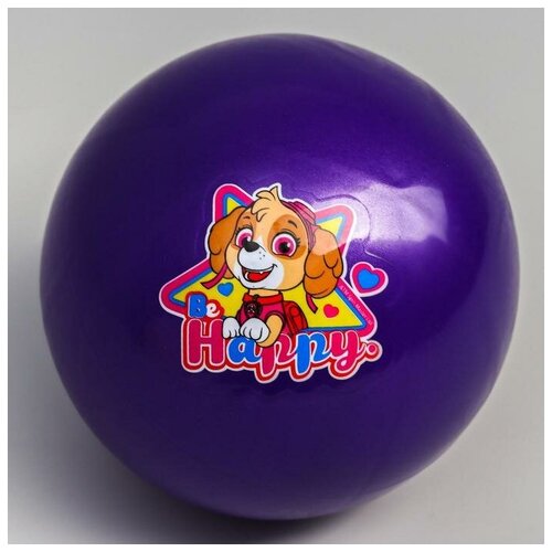 Paw Patrol Мяч детский Paw Patrol "Happy", 16 см, 50 гр, цвета микс