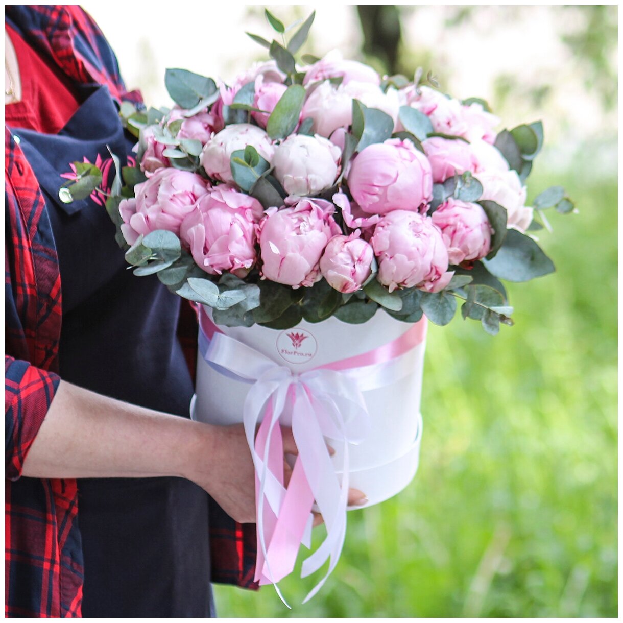 Цветы живые букет из 25 розовых пионов Сара Бернар в шляпной коробке с атласной лентой