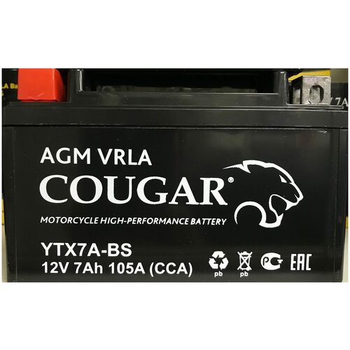 Аккумулятор мотоциклетный COUGAR AGM VRLA 12V7 YTX7A-BS 152x87x95