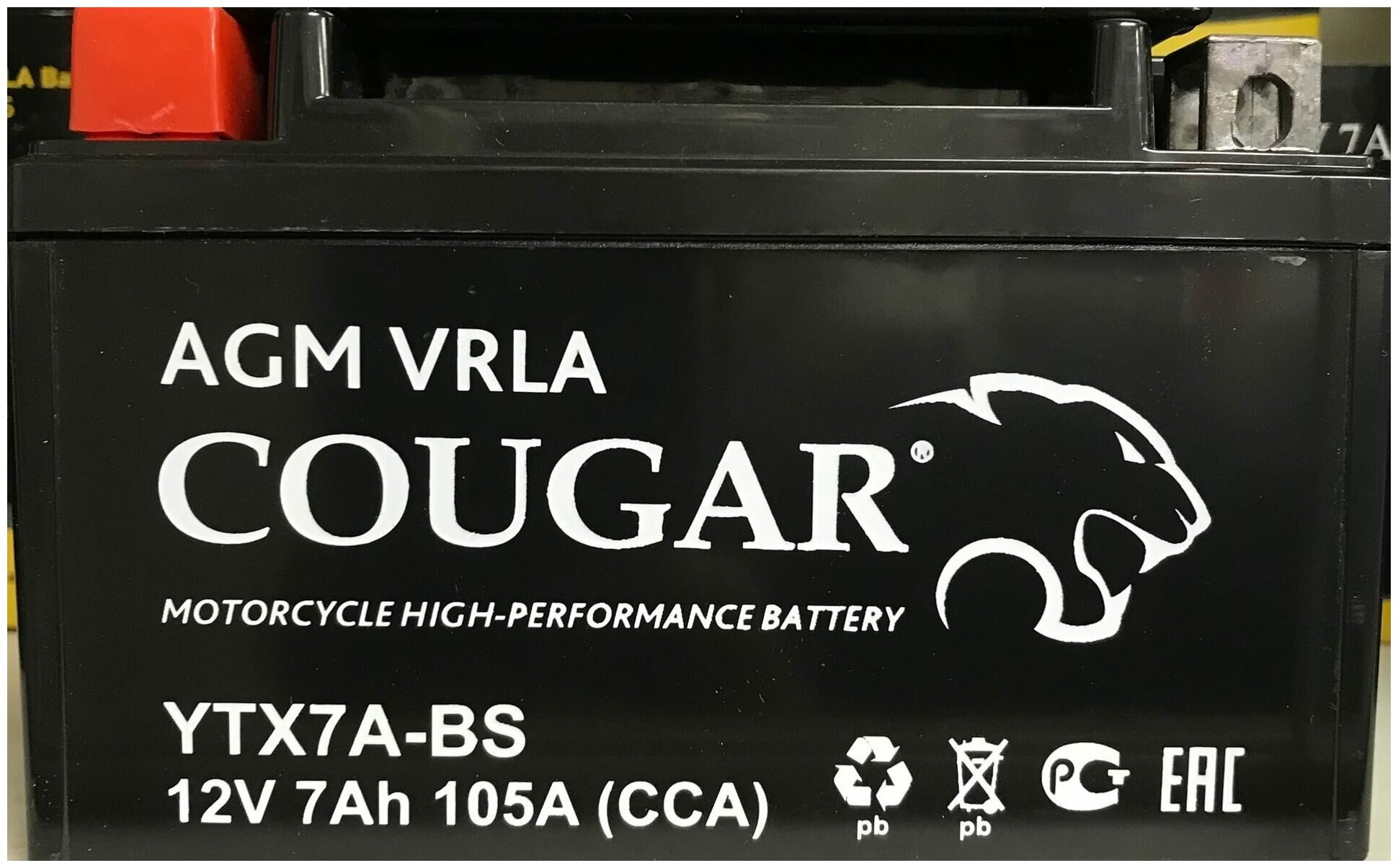 Аккумулятор мотоциклетный Cougar AGM YTX7A-BS 12V 7Ah (залит и готов к применению)