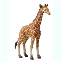 Фигурка Collecta Жеребенок сетчатого жирафа 88535