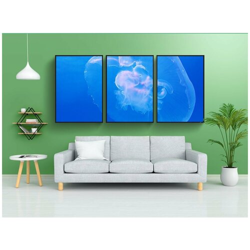 фото Набор модулных постеров для интерьера "луна, медуза, ушастая аурелия" 60x90 см. в тубусе, без рамки lotsprints
