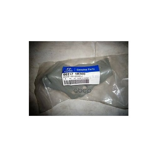Кронштейн Крепления Переднего Крыла L HyundaiKia 66317-1r300 Hyundai-KIA арт 66317-1R300 2489₽