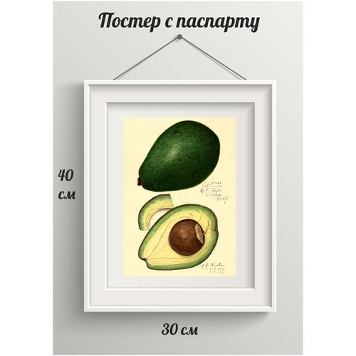 Интерьерный постер Даринчи 30х40 см №60 