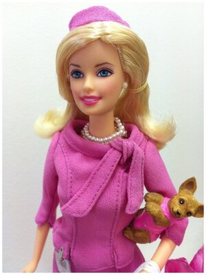 Elle woods sales barbie