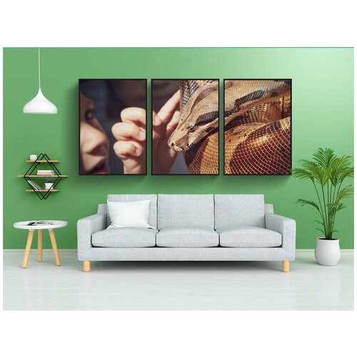 фото Набор модулных постеров для интерьера "линия, phyton, существо" 60x90 см. в тубусе, без рамки lotsprints