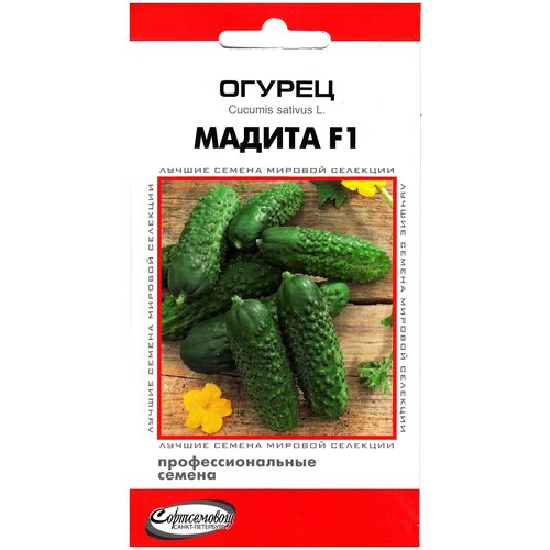 Огурец Мадита F1, 6 семян