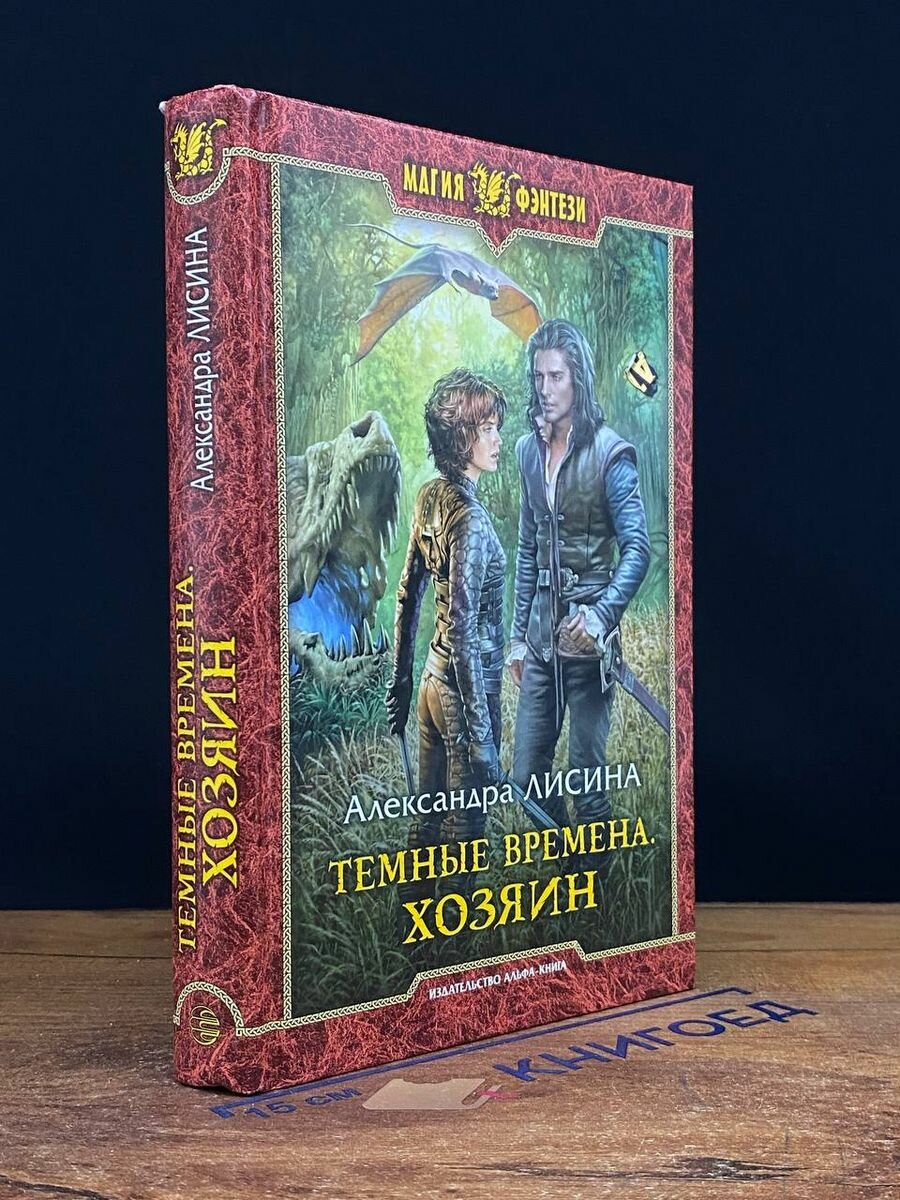 Темные времена. Хозяин (Лисина Александра) - фото №2