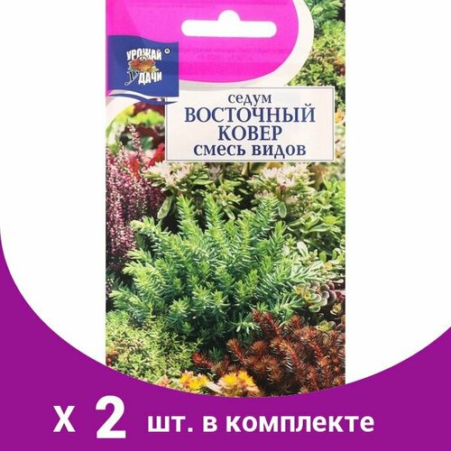 Семена цветов Цв Седум 'восточный ковёр', Смесь,0,01 гр (2 шт)