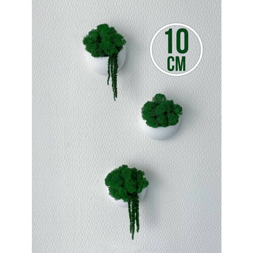 Настенные кашпо со мхом 1939₽