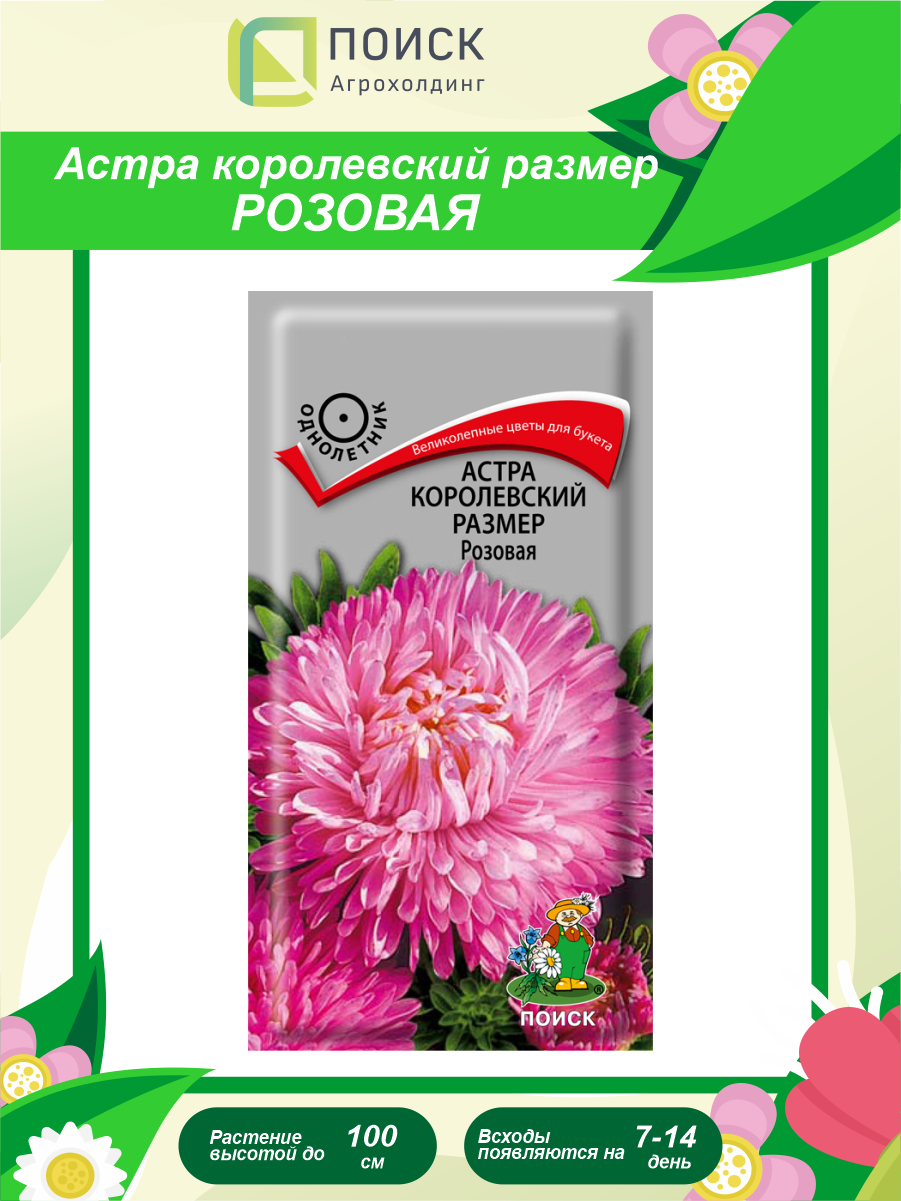 Семена Астра королевский размер розовая однолетние 0,1 гр.