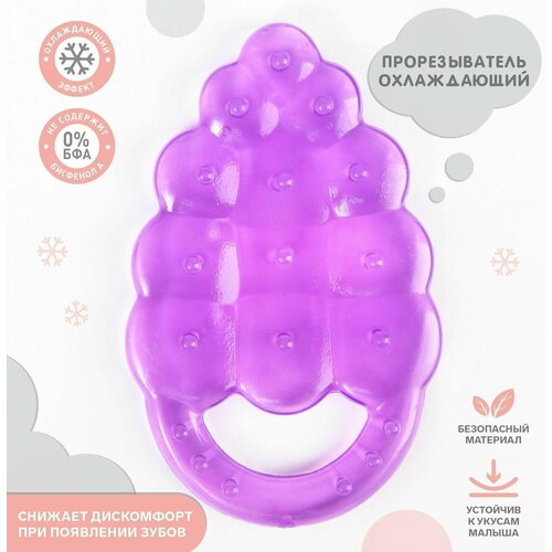 Прорезыватель охлаждающий Виноградик 284₽