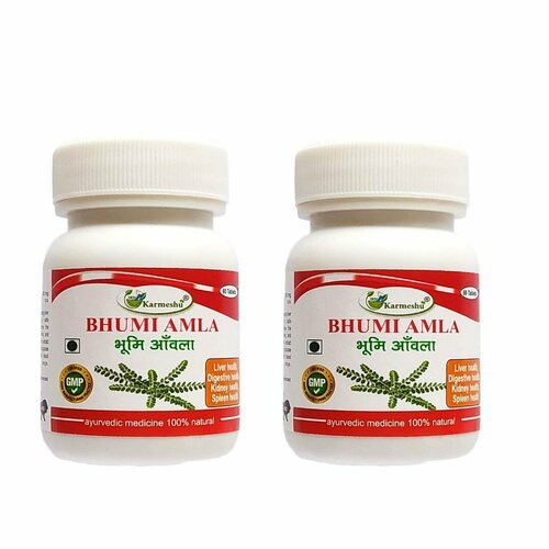 2 штуки Бхуми Амла (Бхумиамалаки) Кармешу 500 мг. 60 таблеток