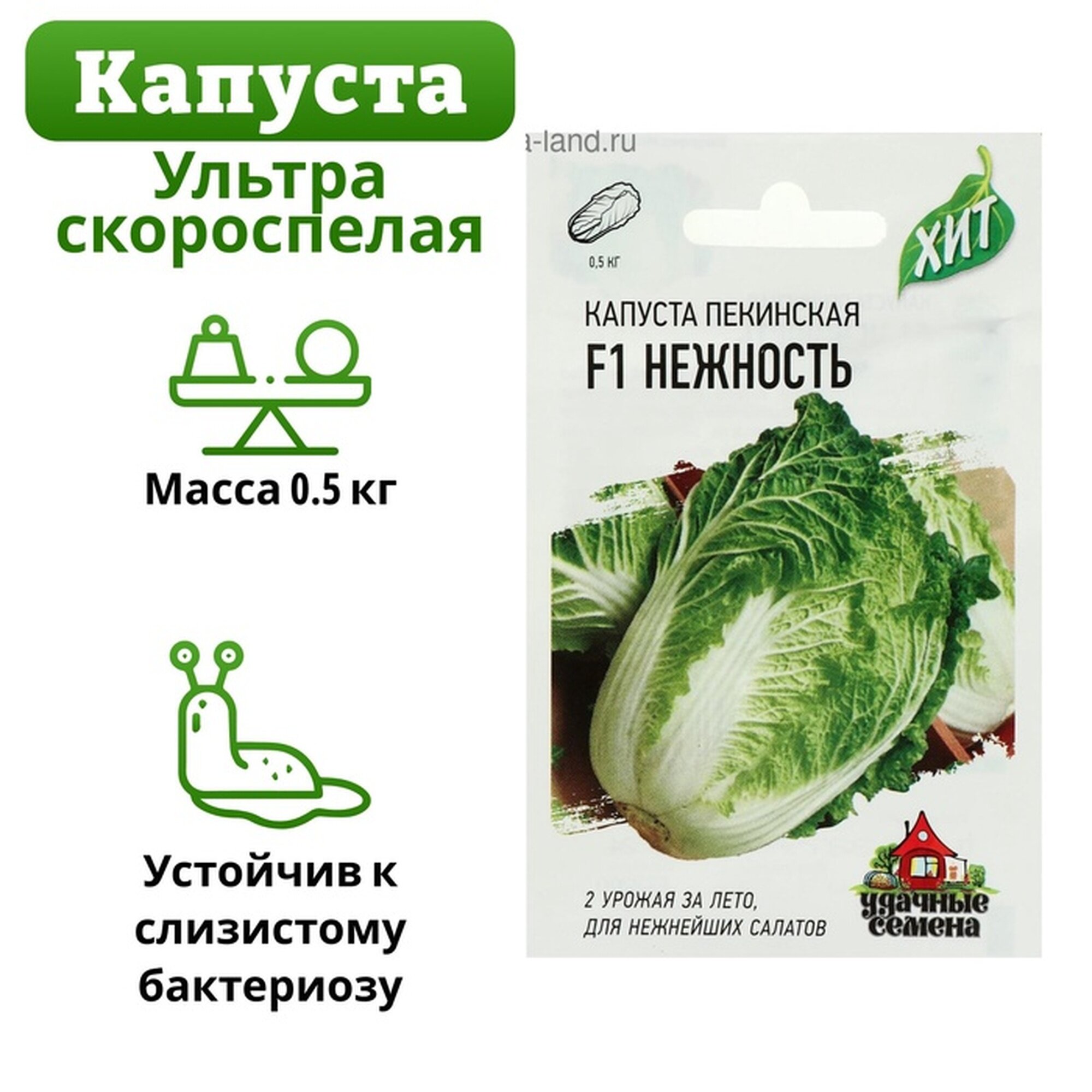 Семена Капуста пекинская 