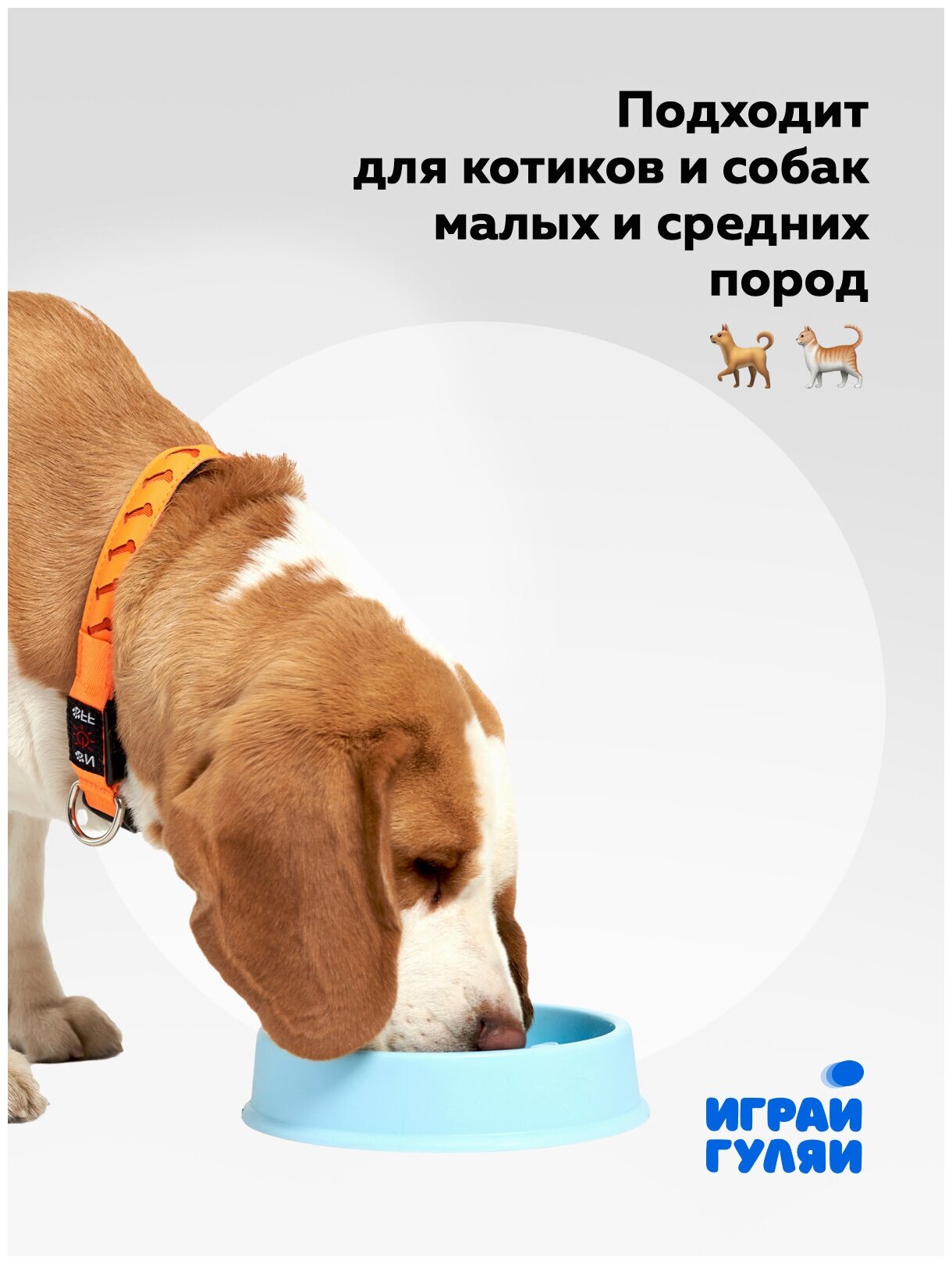 Миска для животных для собак для медленного поедания корма и медленного кормления, Звезда, цвет: зеленый - фотография № 6