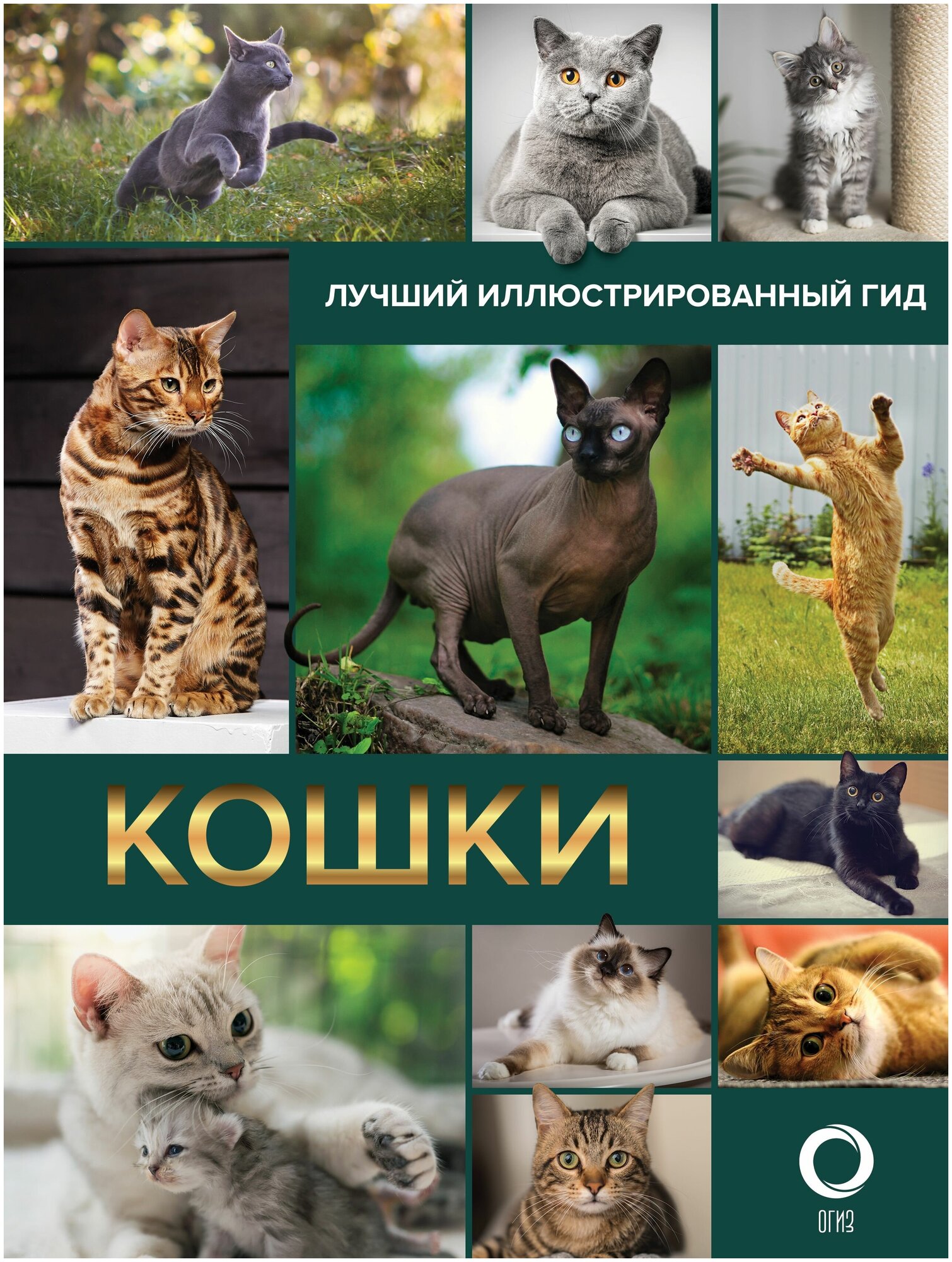 Кошки. Лучший иллюстрированный гид - фото №1