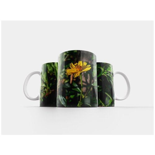 фото Кружка "сфагнетикола трилобата, цветок, карибский бассейн" 320 мл lotsprints