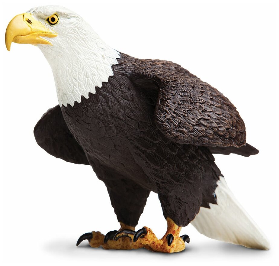 Фигурка Safari Ltd Белоголовый орлан, XL