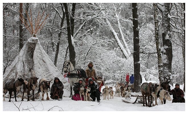 Сертификат Экскурсия к северным оленям и собакам, 2 взрослых+1 ребенок в будний день (Московская область)