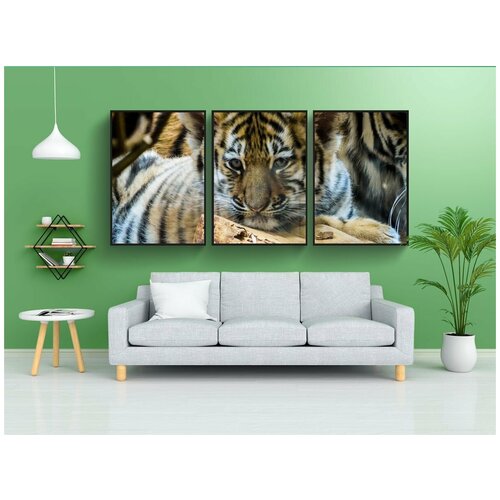 фото Набор модулных постеров для интерьера "тигр, молодой, детеныш" 60x90 см. в тубусе, без рамки lotsprints