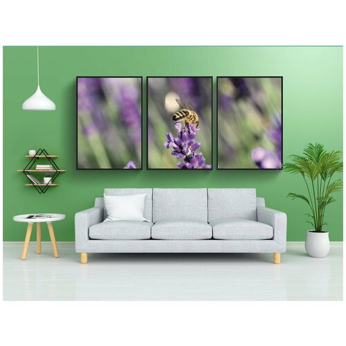 фото Набор модулных постеров для интерьера "пчела, насекомое, лаванда" 60x90 см. в тубусе, без рамки lotsprints