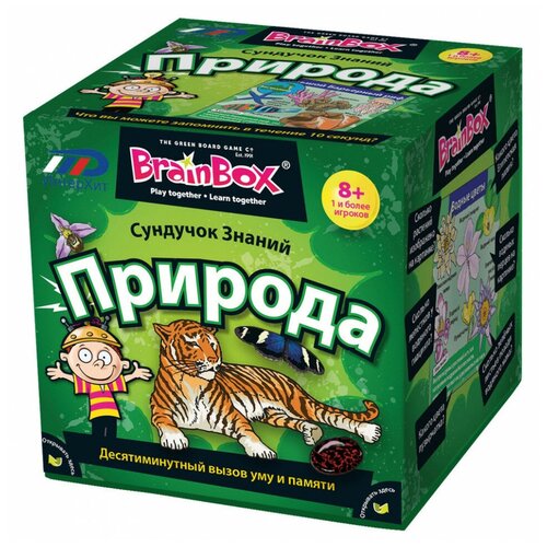 Сундучок знаний 