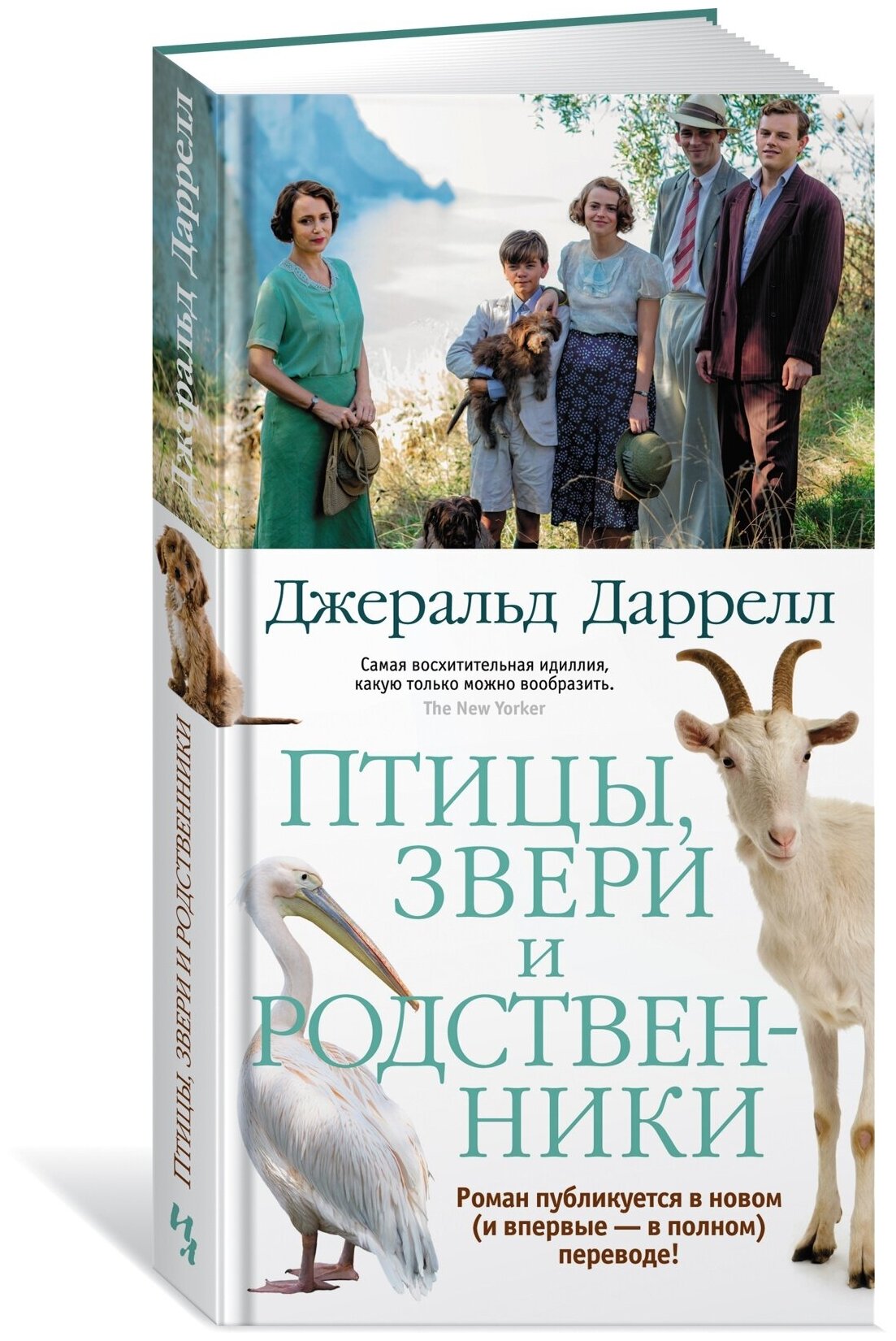 Книга Птицы, звери и родственники