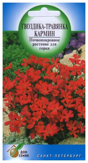 Гвоздика многолетняя Кармин (травянка) красная 160 семян