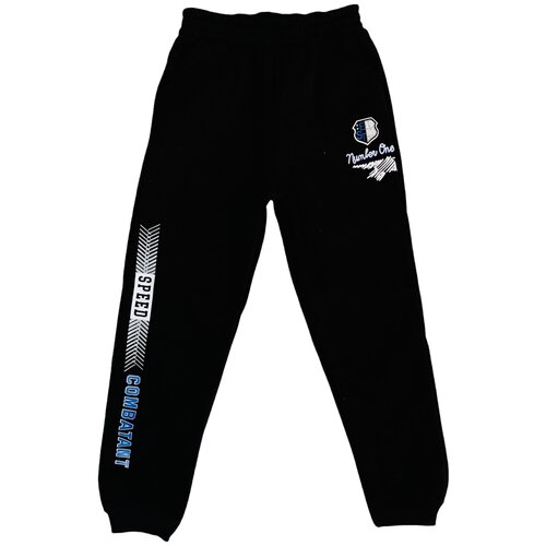 Брюки черные теплые Спорт 116