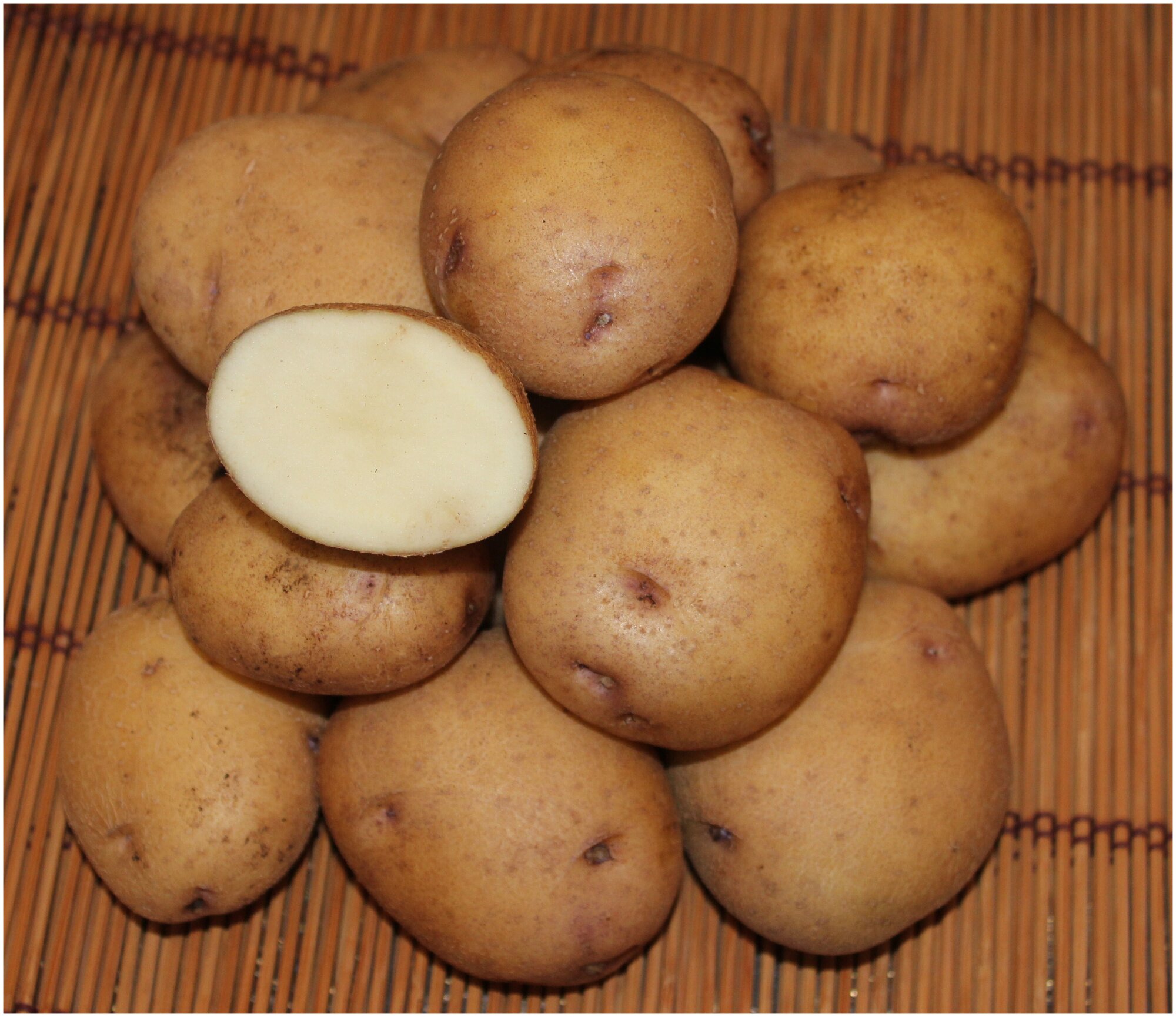 Картофель семенной сорт Синеглазка