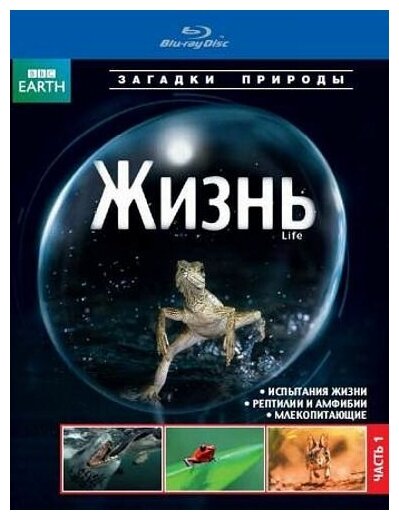 BBC: Жизнь. Часть 1 (Blu-ray)