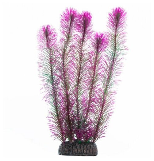 Растение Перистолистник фиолетовый, 100мм