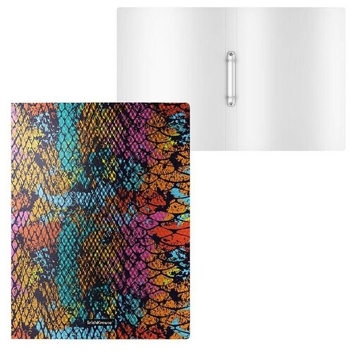 фото Папка на 2 кольцах пластиковая colourful squama, 24мм, a4 (в пакете по 4 шт erichkrause