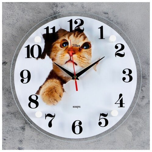 фото Часы настенные 21 век серия: животный мир, "кот", 30*30 см