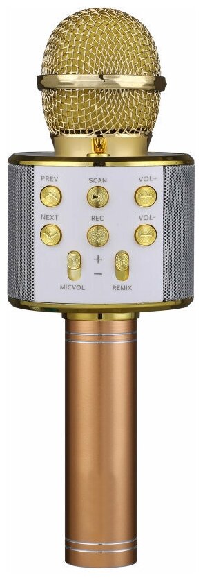 Беспроводной микрофон FunAudio G-800 Gold поддержка файлов MP3 WMA, рабочее время 5-8 часов золотого цвета