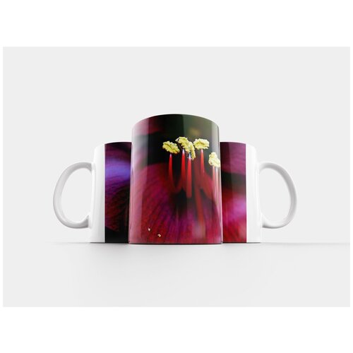 фото Кружка "амариллис, рождественский цветок, цвести" 320 мл lotsprints