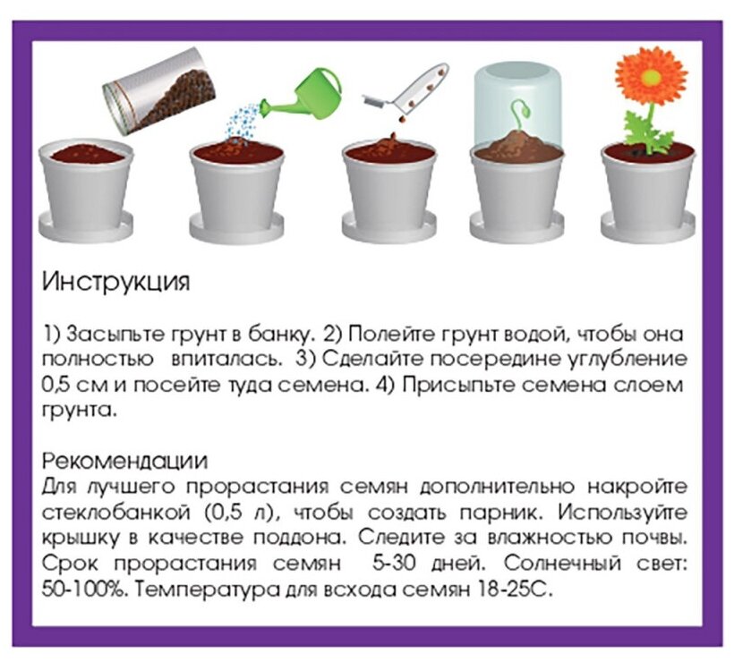 Набор для выращивания, Rostok Visa Колокольчик цвет: белый - фото №5