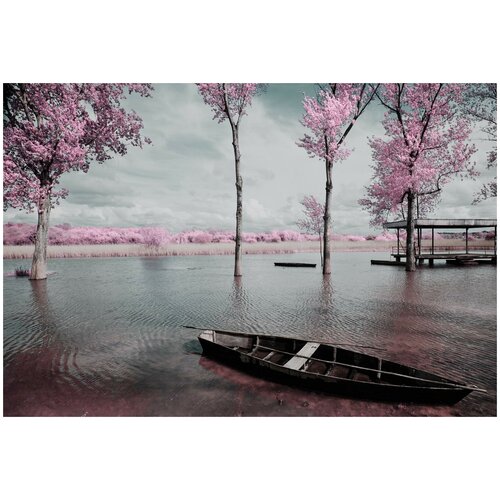 фото Постер на холсте лодка у розовых деревьев 74см. x 50см. твой постер