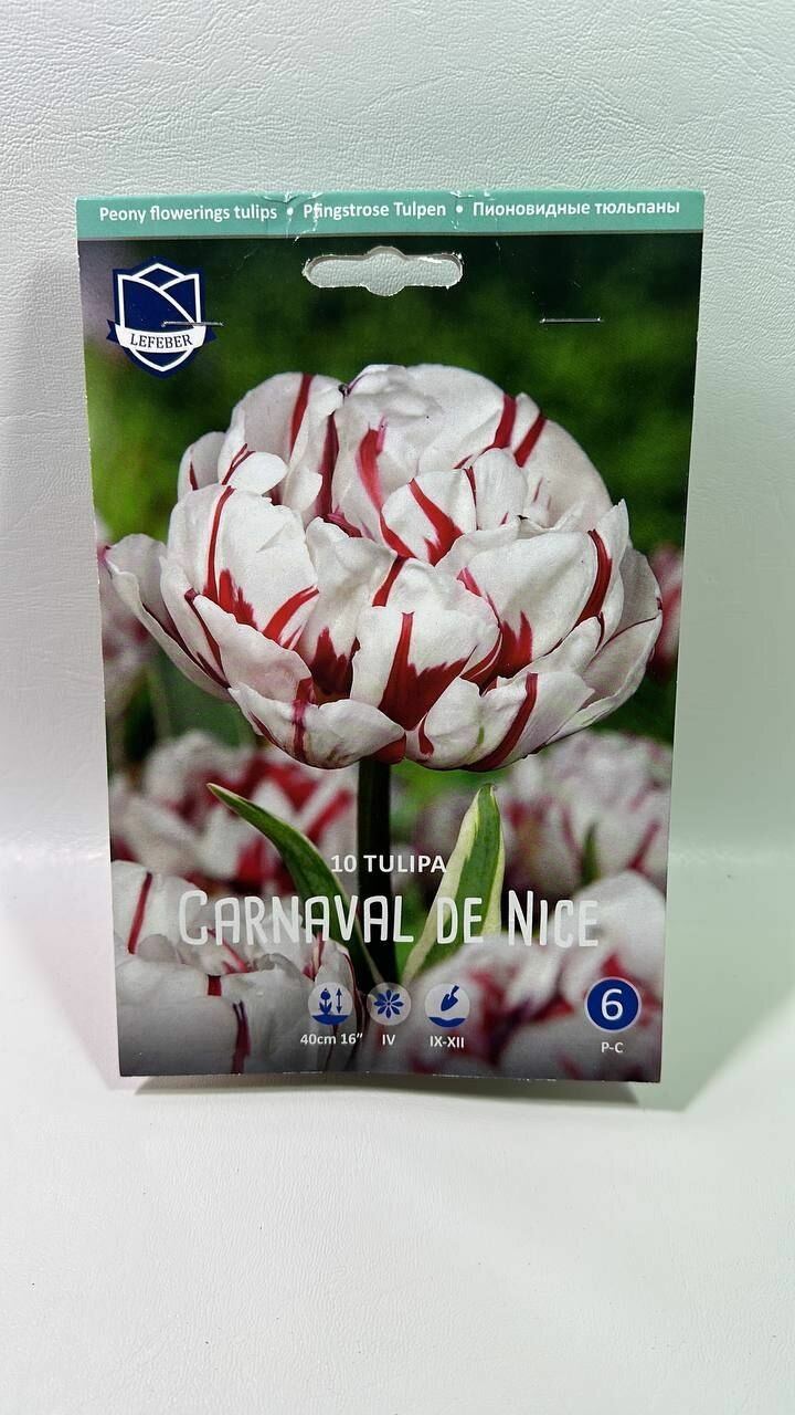 Тюльпан махровый поздний Carnaval de Nice Карнавал де Найс 10 шт - фотография № 1