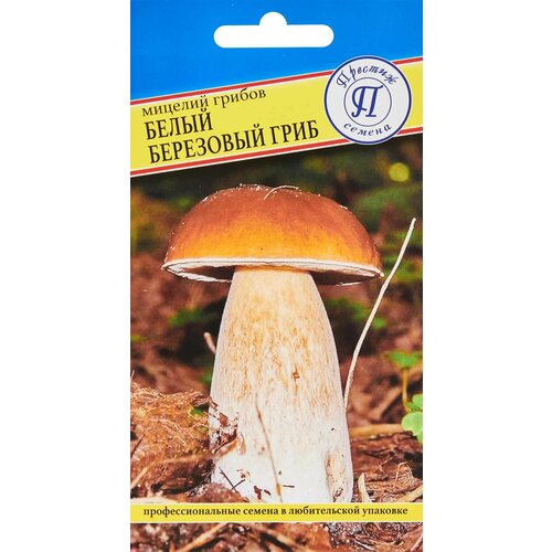 Мицелий грибов белый гриб Березовый